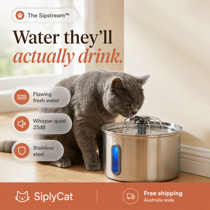 The Sipstream: 3.2L Fountain